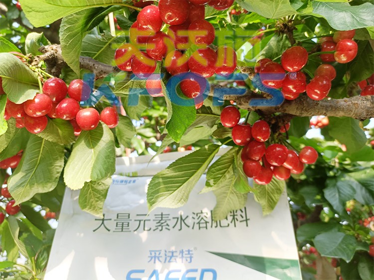 大量元素水溶肥為什么都說進口的好？