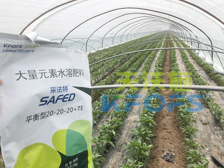 大量元素水溶肥為什么都說進口的好？