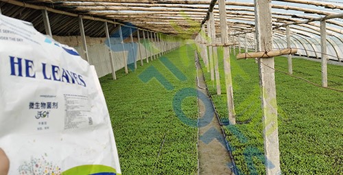 微生物菌劑廠家哪家好？