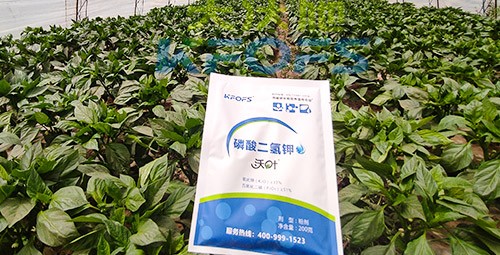 磷酸二氫鉀的正規(guī)廠家是什么樣的？