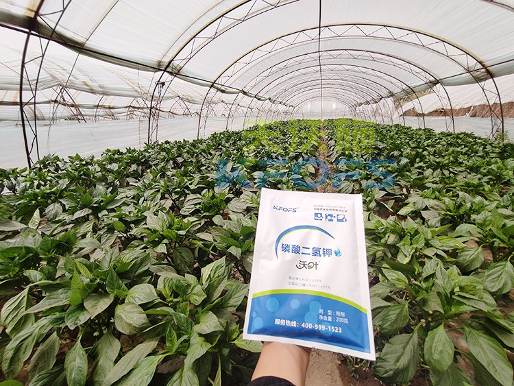 磷酸二氫鉀的正規(guī)廠家是什么樣的？