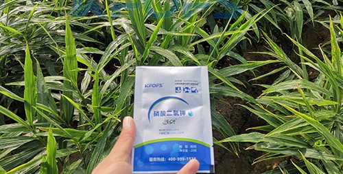 磷酸二氫鉀選這個(gè)品牌，不會(huì)錯(cuò)！