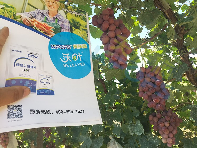 進(jìn)口磷酸二氫鉀和國(guó)產(chǎn)有什么區(qū)別？