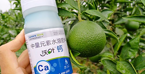 果樹補鈣用什么鈣肥好？