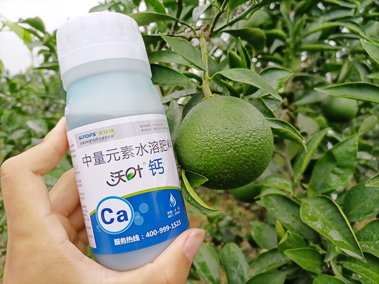 果樹補鈣用什么鈣肥好？