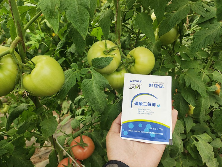 購買磷酸二氫鉀要看哪幾點(diǎn)？