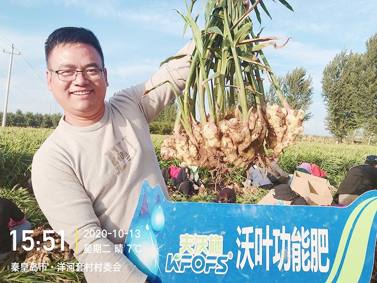 進(jìn)口水溶肥推薦你選沃葉，這就是原因！