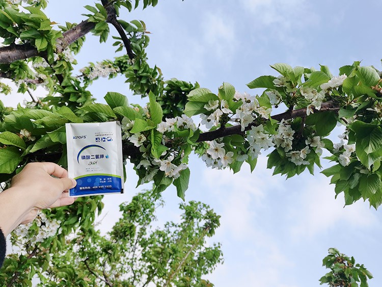 保花保果葉面肥，她就認(rèn)準(zhǔn)這個牌子！