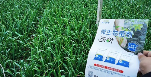 微生物菌劑選它，放心又舒心！