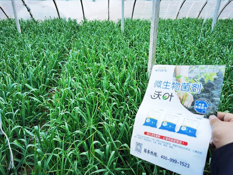 微生物菌劑選它，放心又舒心！