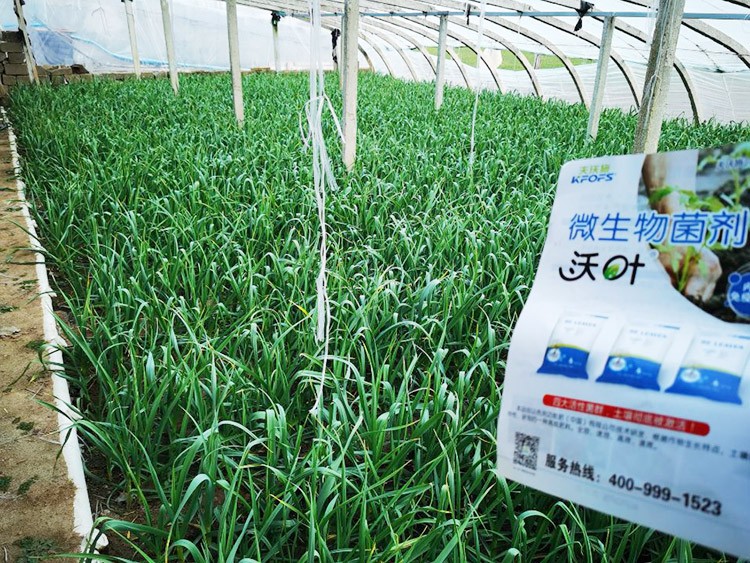 微生物菌劑選它，放心又舒心！