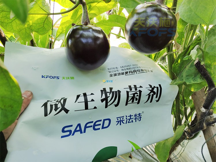 進(jìn)口水溶肥蔬菜上怎么用效果好？