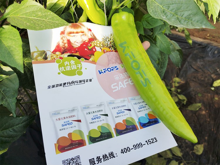 進(jìn)口水溶肥蔬菜上怎么用效果好？