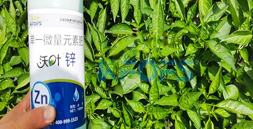 鋅肥是什么肥料？辣椒用有什么好處？