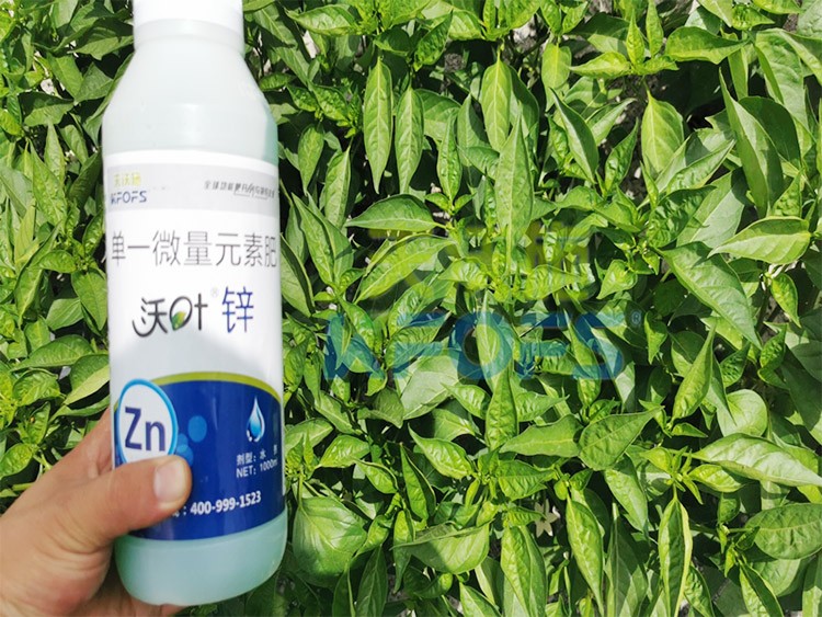 鋅肥是什么肥料？辣椒用有什么好處？