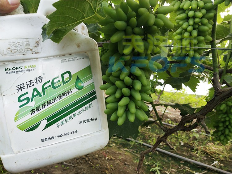 葡萄水溶肥品牌哪個好？案例告訴你！
