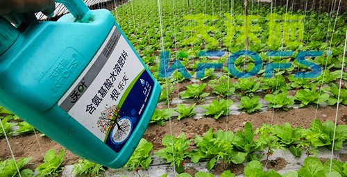 蔬菜用進(jìn)口水溶肥，有什么突出效果？