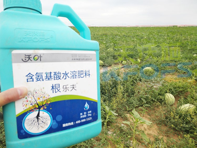 西瓜用什么進口水溶肥好？