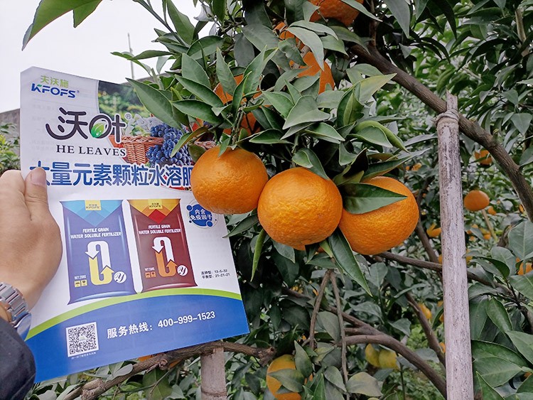 果樹(shù)水溶肥什么牌子好？