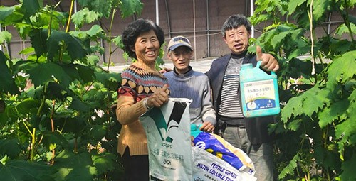 葡萄萌芽期管理技術(shù)在這里，值得收藏！