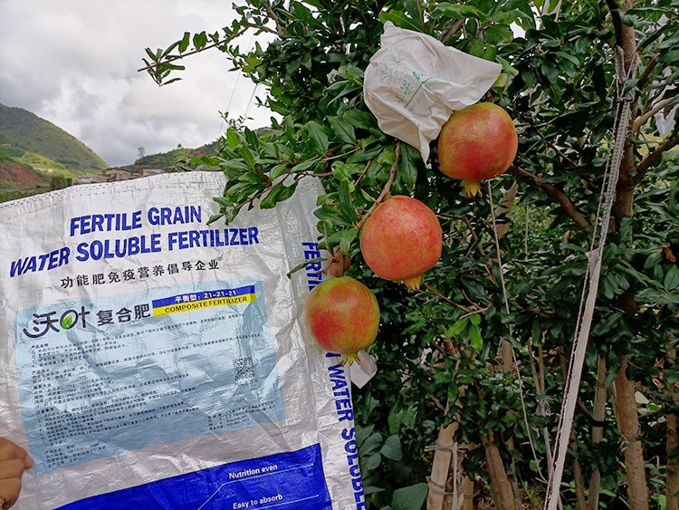 石榴施肥用什么肥料效果好？