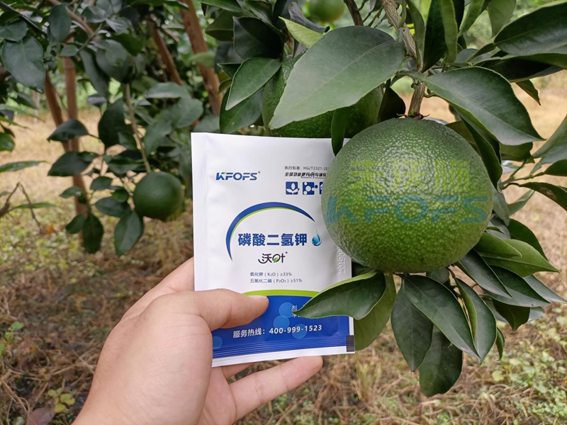 磷酸二氫鉀在果樹上使用有什么好處？