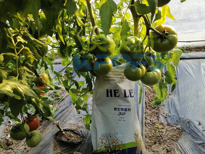 進(jìn)口水溶肥不知道這個(gè)牌子，你虧大了！