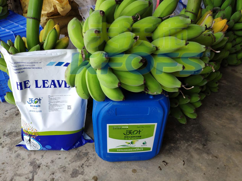 以色列水溶肥哪家好？千萬別錯(cuò)過這家！