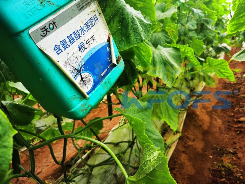 生根劑-黃瓜用沃葉根樂(lè)夫生根劑.jpg