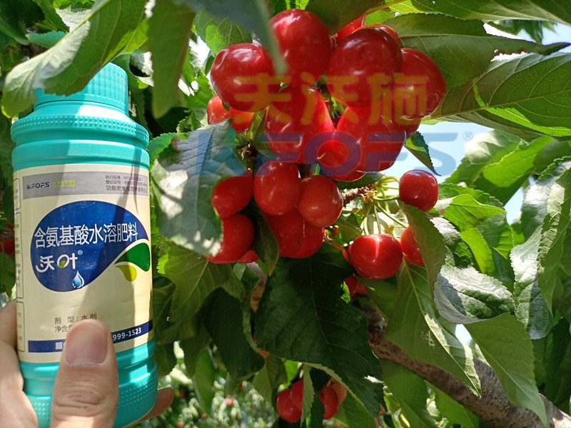 這款水溶肥，種植戶都愿意長期使用！