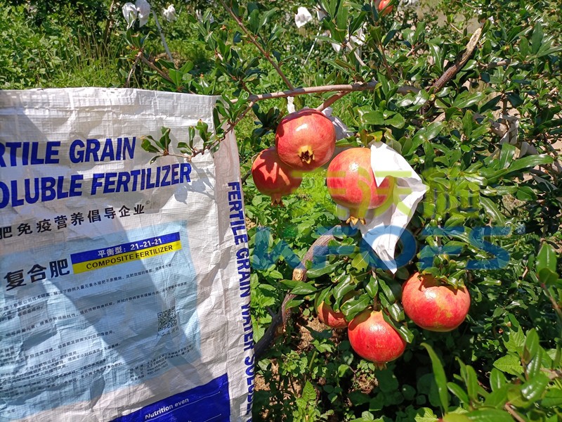 水溶肥是什么肥料，這么受歡迎？