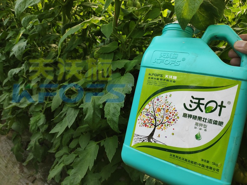 進口水溶肥沃葉，值不值得選？