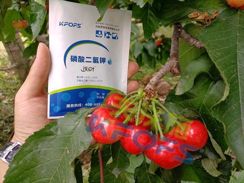 磷酸二氫鉀的正規(guī)廠家哪個(gè)好？這些方面要記牢！