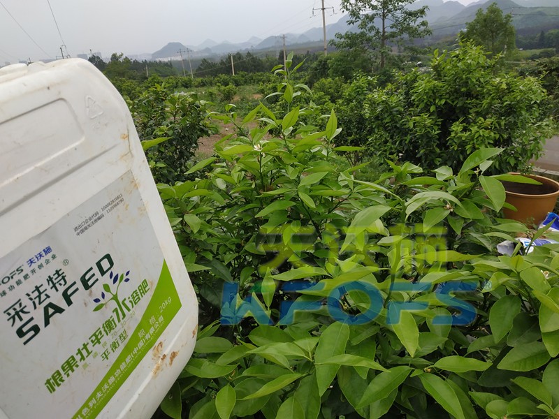 水溶肥的合理價格究竟如何判斷？這幾點很重要！