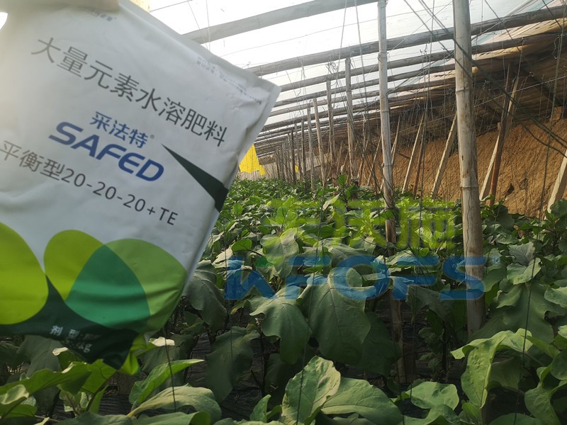 老農(nóng)資人都認(rèn)準(zhǔn)哪款大量元素水溶肥？