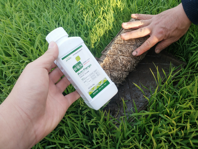 氨基酸水溶肥如何有效解除作物藥害？