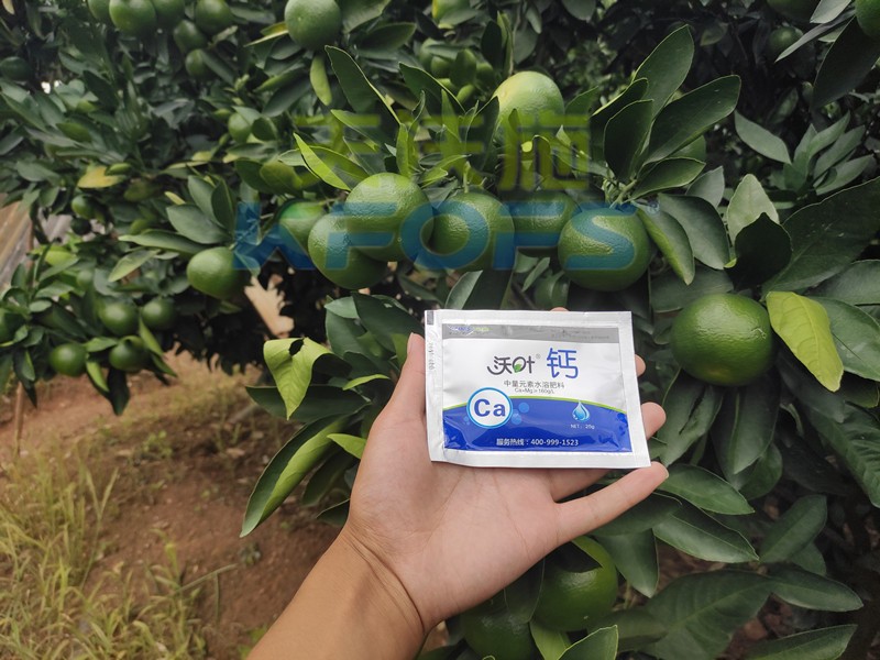 進口鈣肥哪個牌子好？