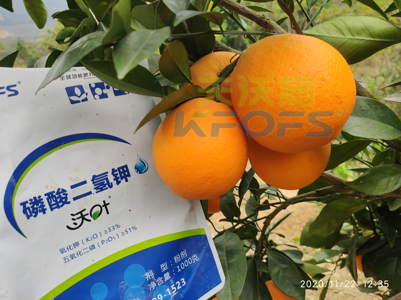 水溶肥市場(chǎng)雜亂無章，種植朋友該選什么樣的產(chǎn)品？