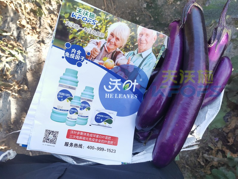 葉面肥哪個好？這款都說好