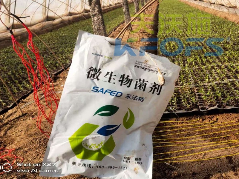 辣椒苗期用什么水溶肥長(zhǎng)得好？