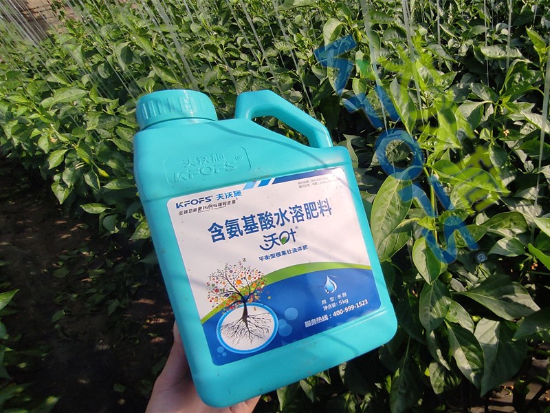 水溶肥與沖施肥有什么區(qū)別？