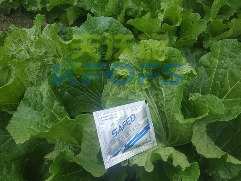 白菜葉面肥哪家好？