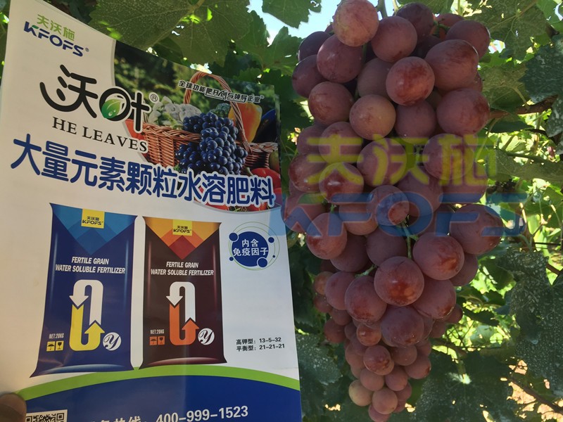 果樹沖施肥怎么樣沖，才能有好效果呢？