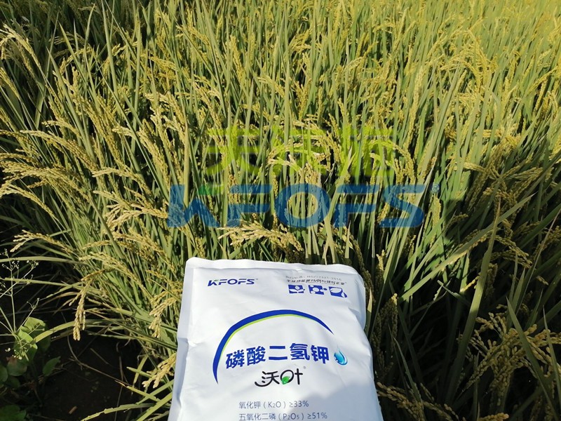 你知道磷酸二氫鉀什么牌子好嗎？