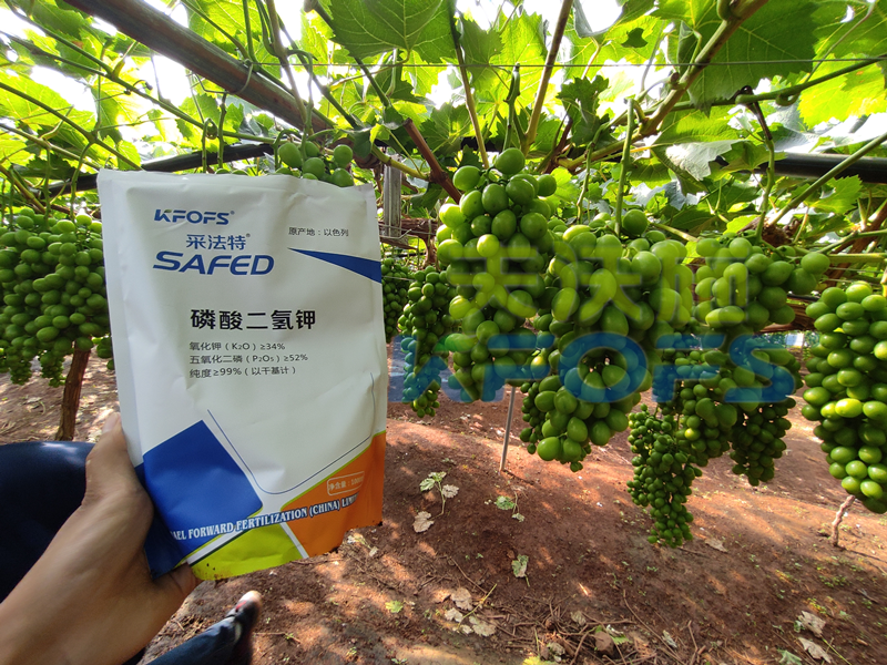 水溶肥競爭那么大，農(nóng)資經(jīng)銷商如何打破困境？