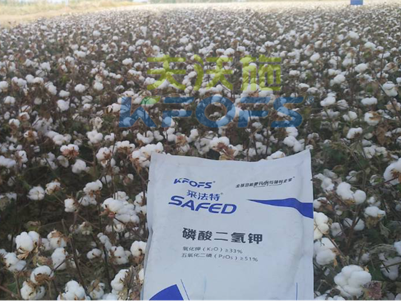 水溶肥哪家好？楊老板說他只信賴采法特！