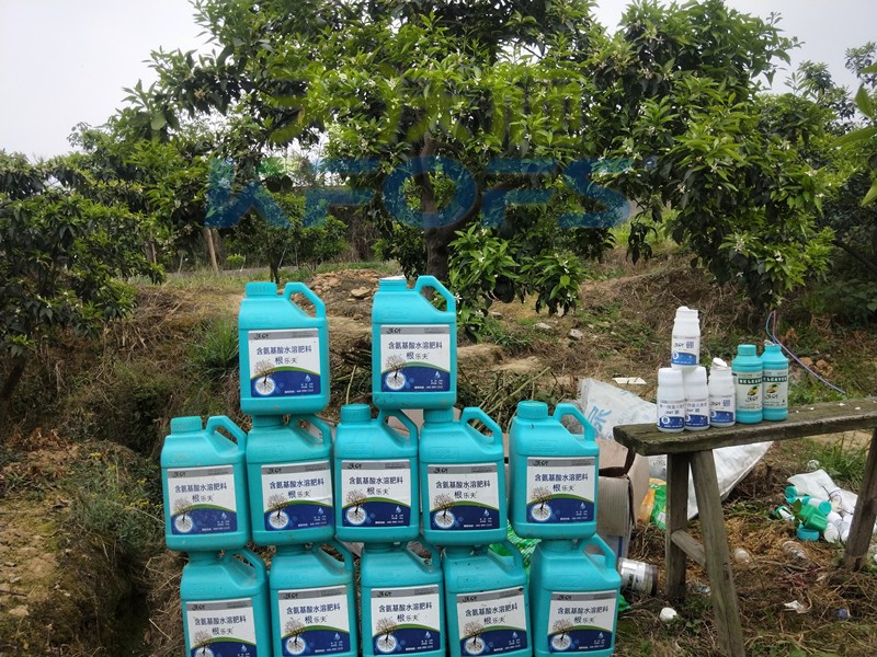 水溶肥在柑橘上怎么使用效果好，一定要收藏