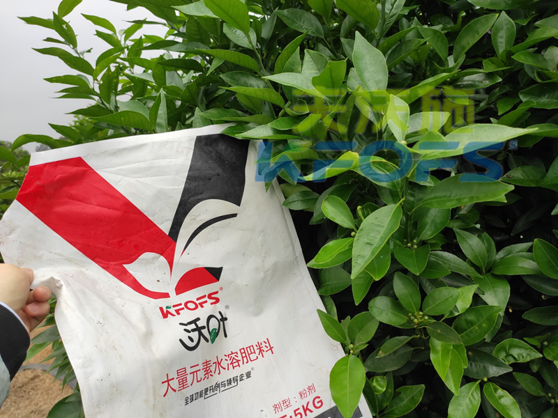 水溶肥的利弊，你了解多少？