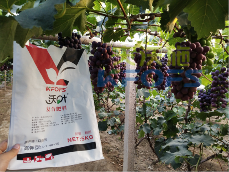 進口水溶肥和國內(nèi)水溶肥的區(qū)別