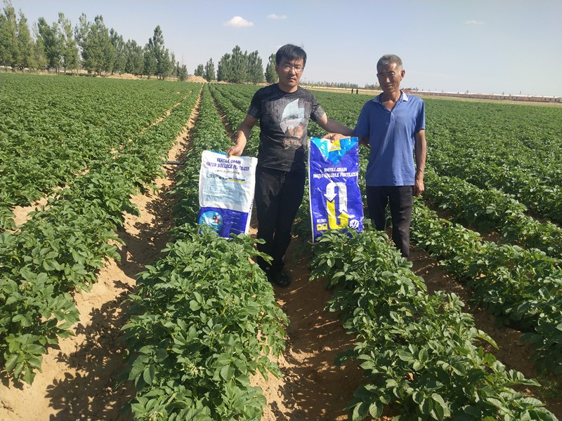 進口水溶肥和國產(chǎn)水溶肥的區(qū)別，主要分為三點